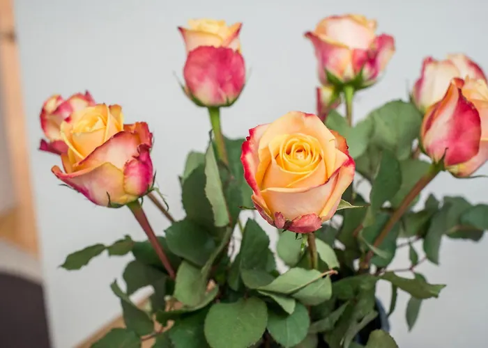 公寓 Grazbachgasse 格拉茨